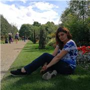 Insegnante di lingua inglese e arabo offre servizio di ripetizioni per tutte le età